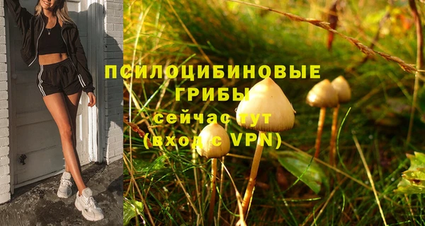 ALPHA PVP Алексеевка