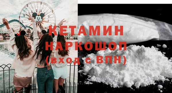 крисы Алексин