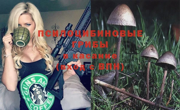 ALPHA PVP Алексеевка