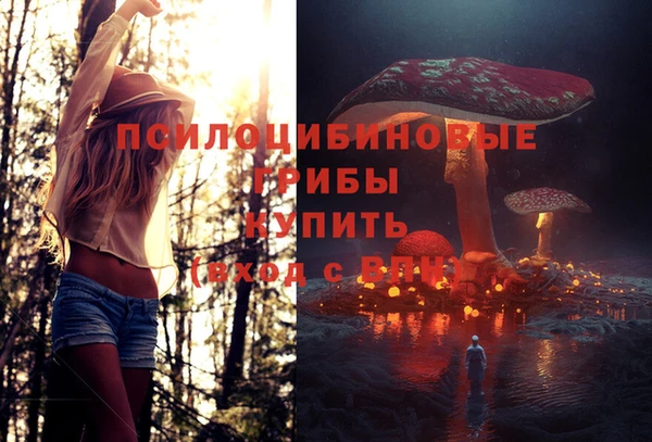 крисы Алексин