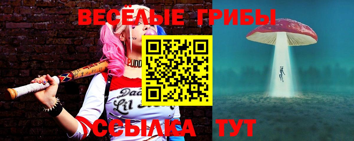 Псилоцибиновые грибы MAGIC MUSHROOMS  купить наркотик  Лесосибирск  Вход с VPN  Псилоцибиновые грибы Psilocybe 