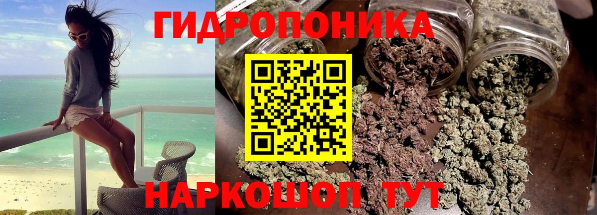 Марихуана SATIVA & INDICA  Шишки марихуана тримм  Конопля сатива  Вход с VPN  Лесосибирск  Марихуана гибрид 
